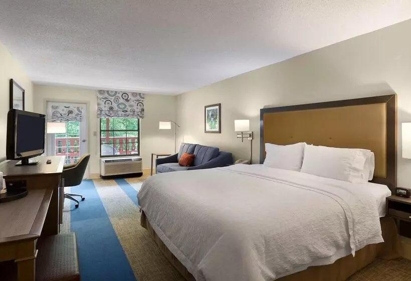 호텔 Hampton Inn Helen