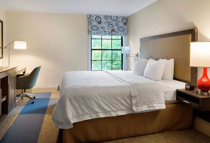 호텔 Hampton Inn Helen