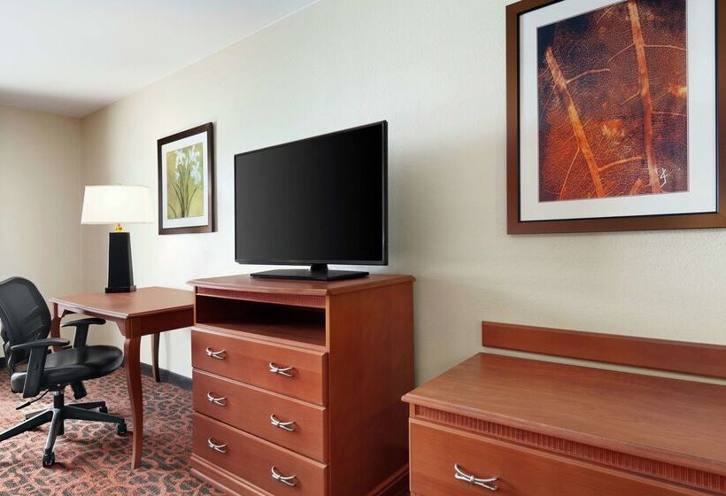 ホテル Hampton Inn Houston/stafford