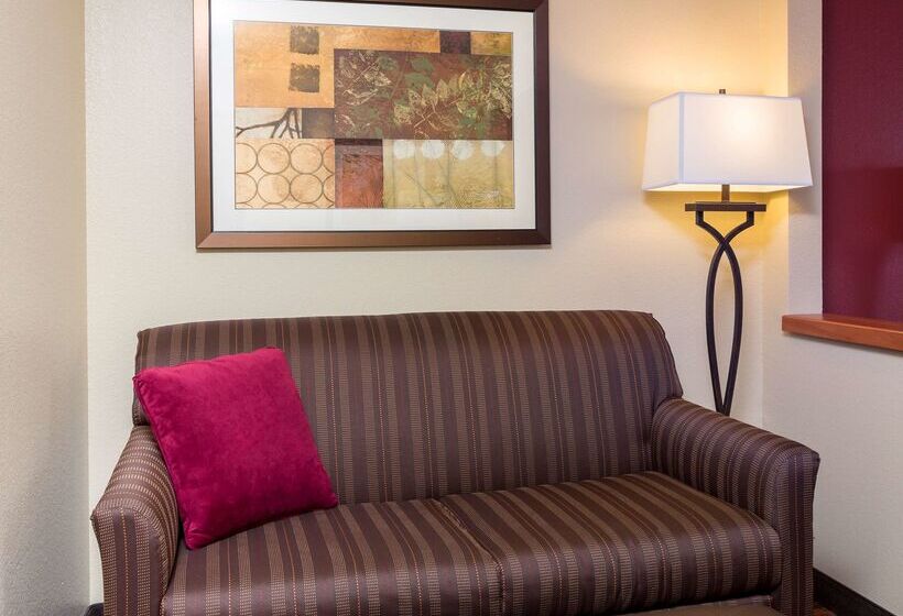 ホテル Hampton Inn Houston/stafford
