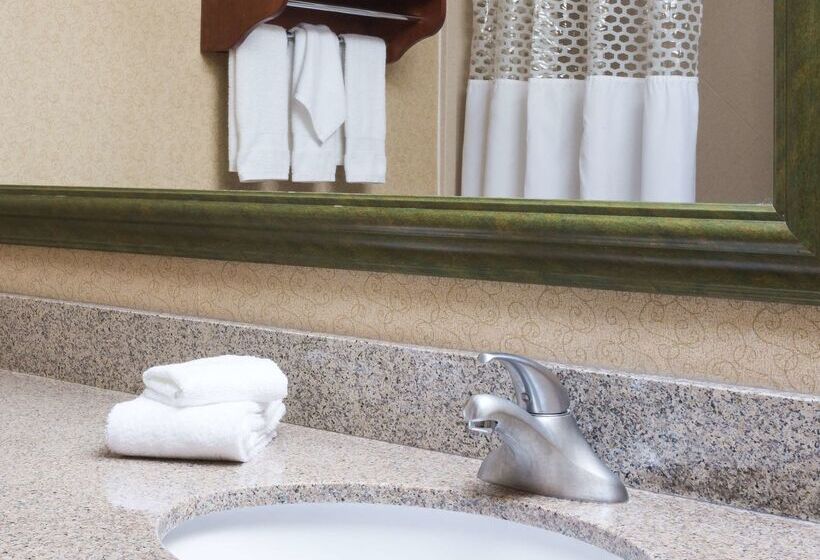 ホテル Hampton Inn Houston/stafford