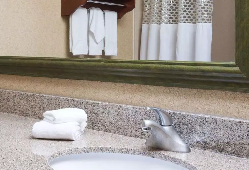 Otel Hampton Inn Houston/stafford