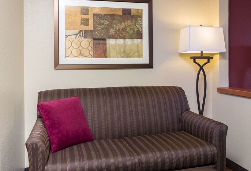 ホテル Hampton Inn Houston/stafford