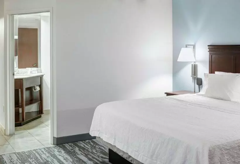 هتل Hampton Inn Kansas Cityliberty