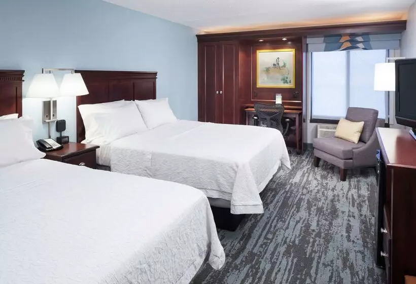 هتل Hampton Inn Kansas Cityliberty
