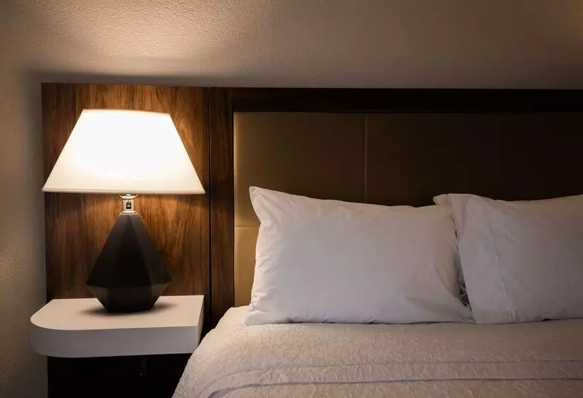 酒店 Hampton Inn By Hilton Of Kuttawa/eddyville