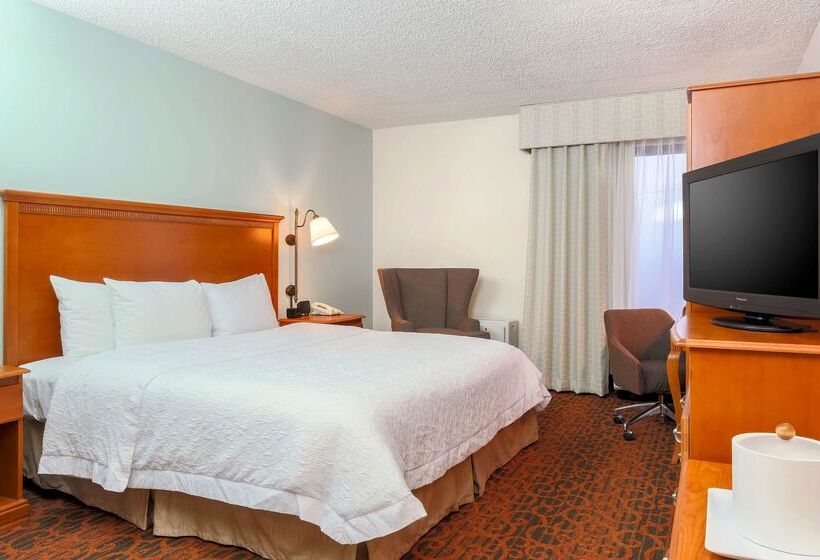 Hotel Hampton Inn Laredo