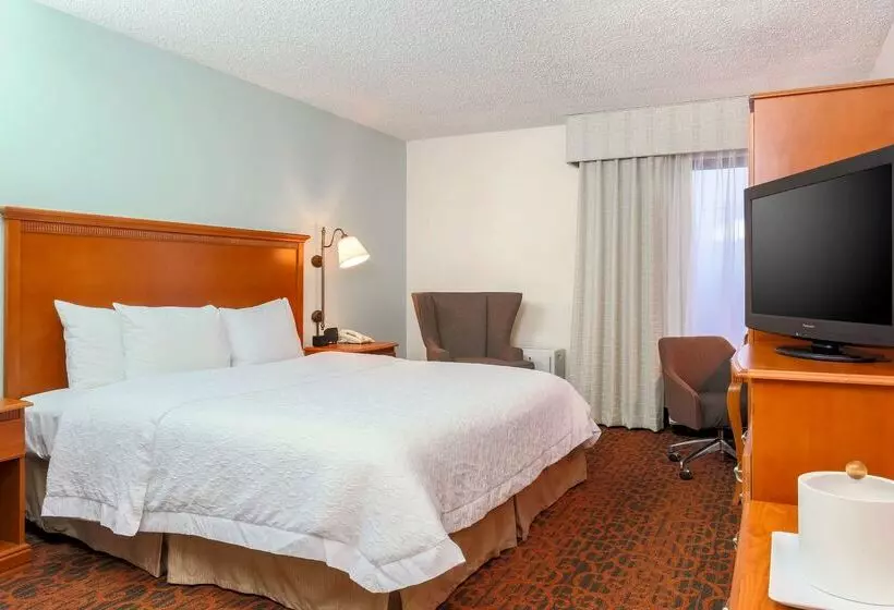 ホテル Hampton Inn Laredo