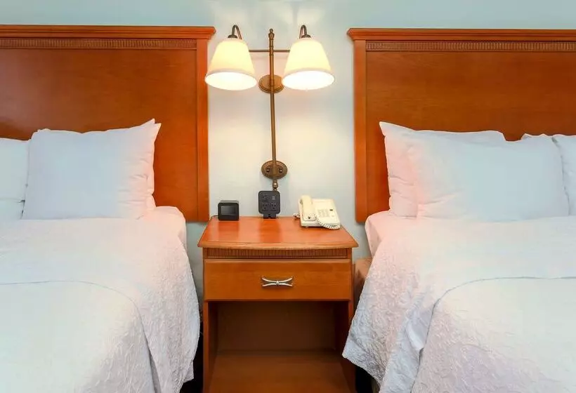 ホテル Hampton Inn Laredo