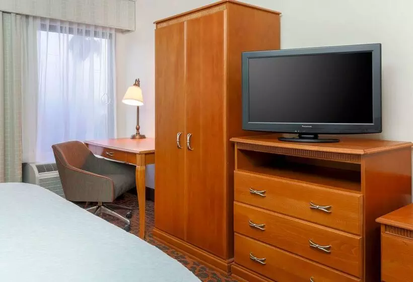 ホテル Hampton Inn Laredo