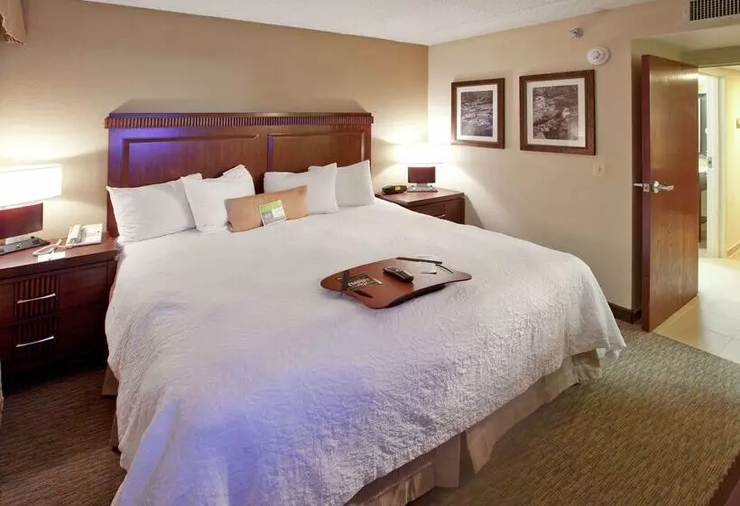 Отель Hampton Inn By Hilton Lexington Park