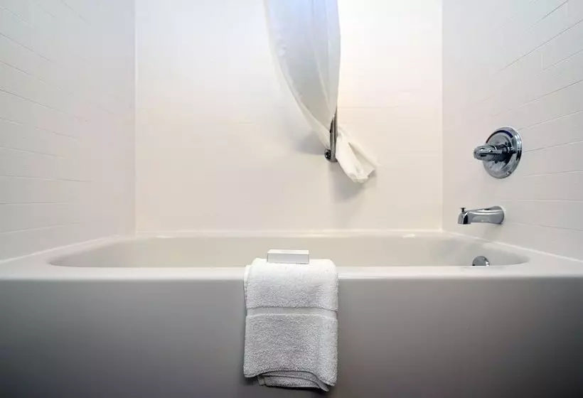 Отель Hampton Inn By Hilton Lexington Park