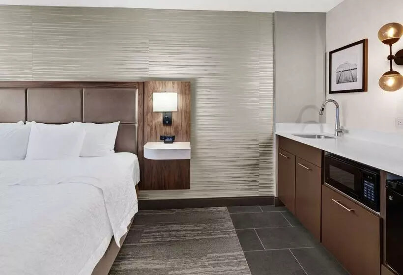 هتل Hampton Inn & Suites Chicagodowntown