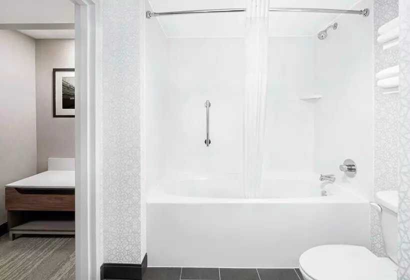 هتل Hampton Inn & Suites Chicagodowntown