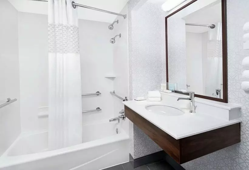 هتل Hampton Inn & Suites Chicagodowntown