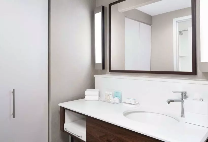 هتل Hampton Inn & Suites Chicagodowntown