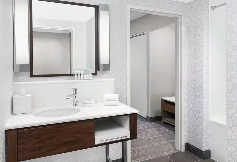 هتل Hampton Inn & Suites Chicagodowntown