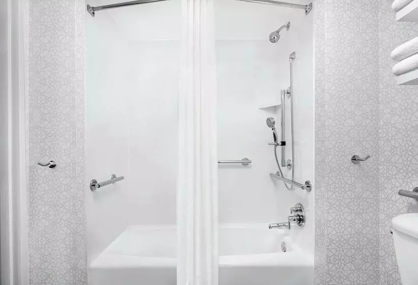 هتل Hampton Inn & Suites Chicagodowntown