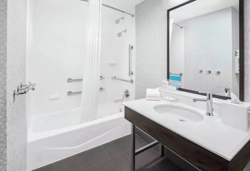 هتل Hampton Inn & Suites Chicagodowntown