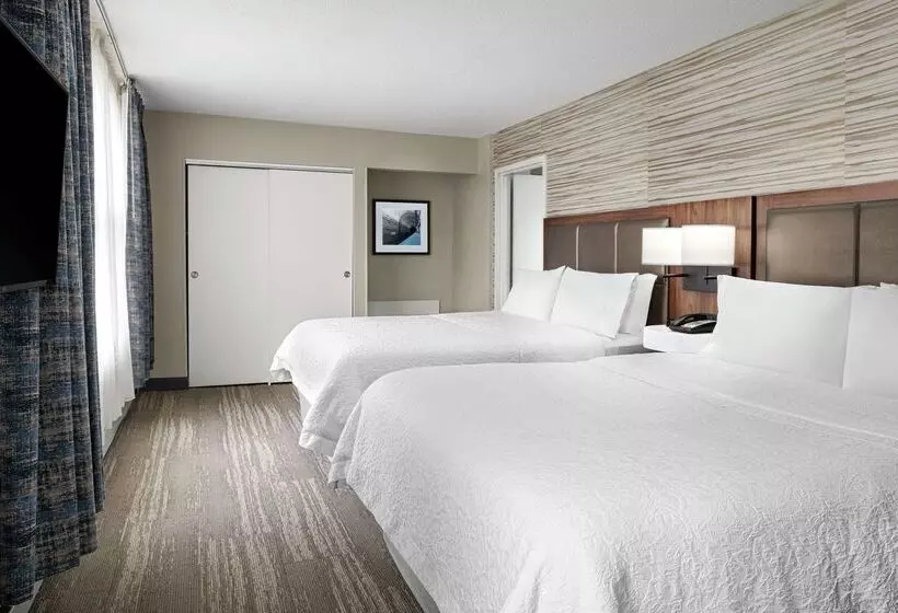 هتل Hampton Inn & Suites Chicagodowntown