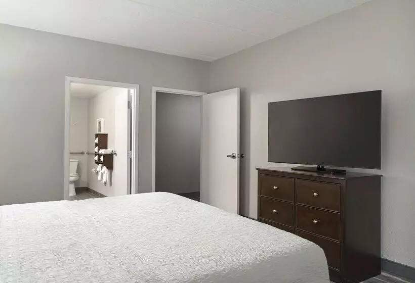 هتل Hampton Inn & Suites Newport News