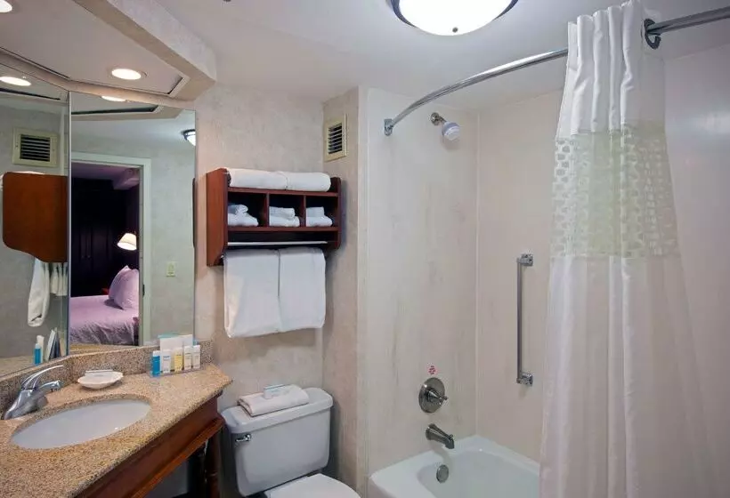 בית מלון כפרי Hampton Inn West Springfield