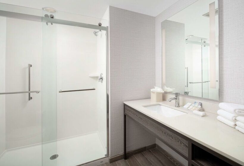 هتل Hilton Garden Inn Miami Brickell South