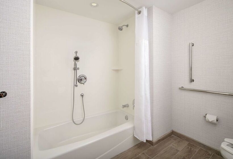 هتل Hilton Garden Inn Miami Brickell South