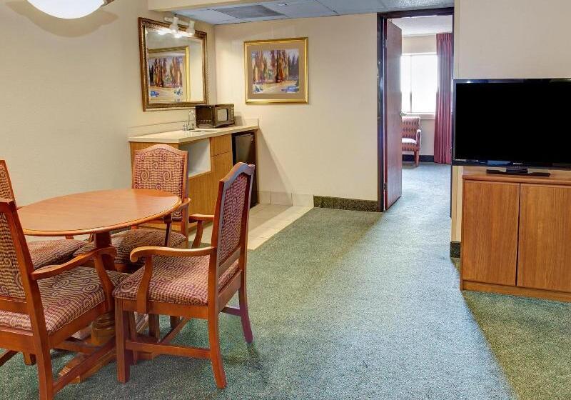 Hotel Holiday Inn Indianapolis Airport Area N By Ihg