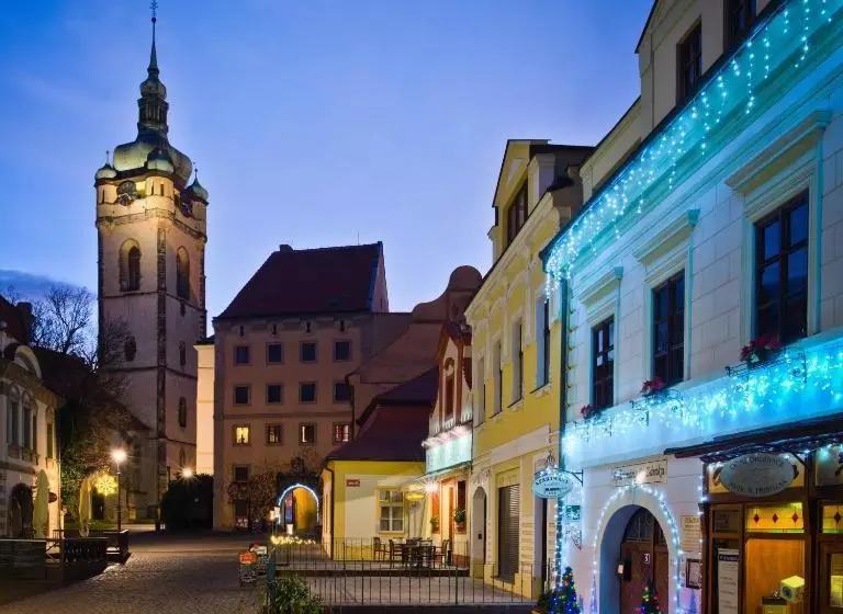 Hotelli Penzion U Zámku