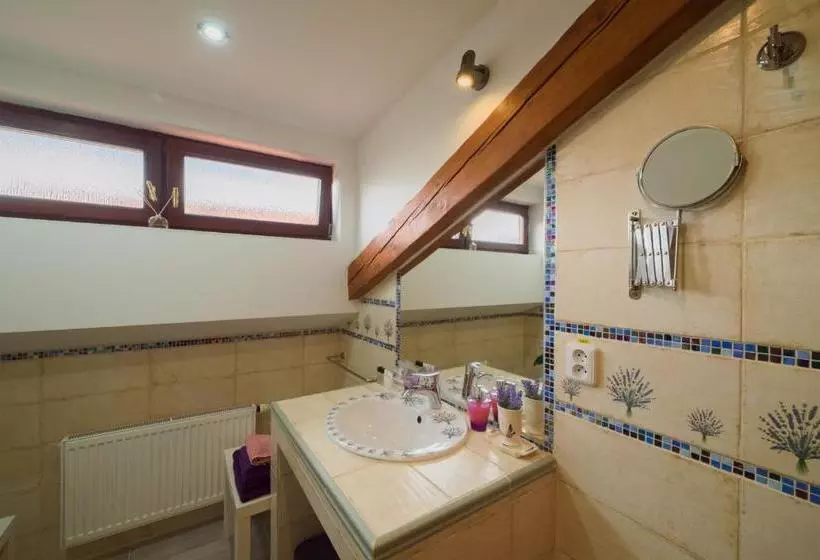 Hotelli Penzion U Zámku