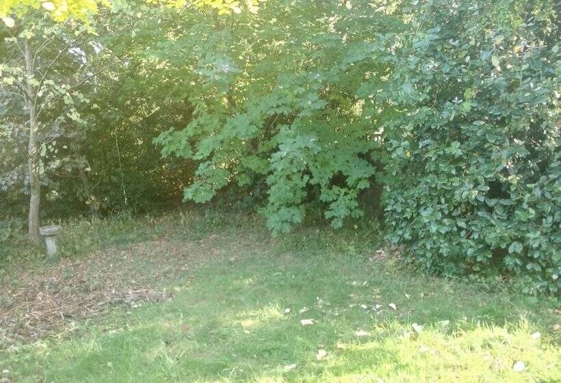 פנסיון Rooms In Guildford Surrey