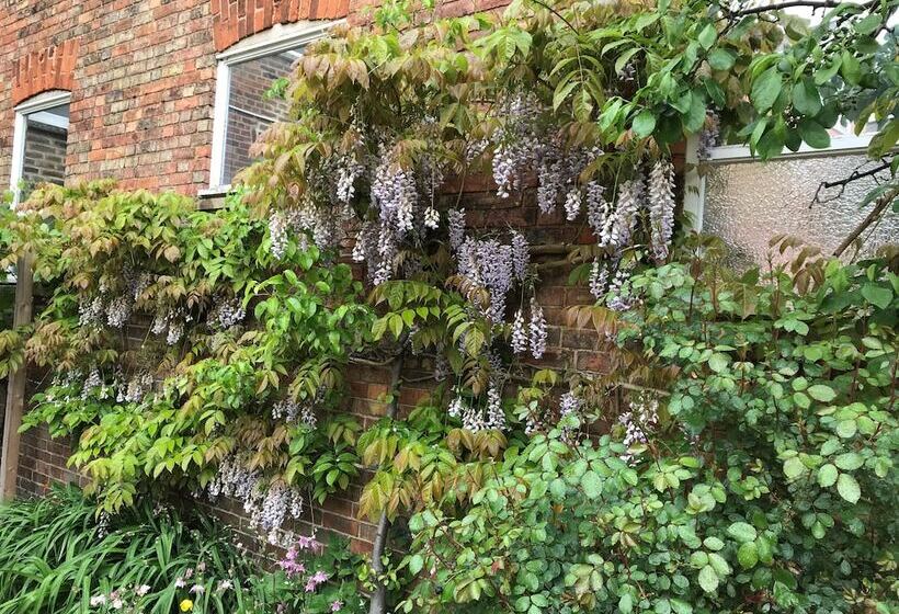 The Walton House Near City Center