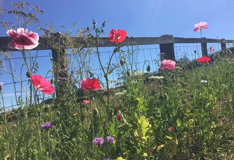 ホテル Islay @ Westcote Glamping Campsite