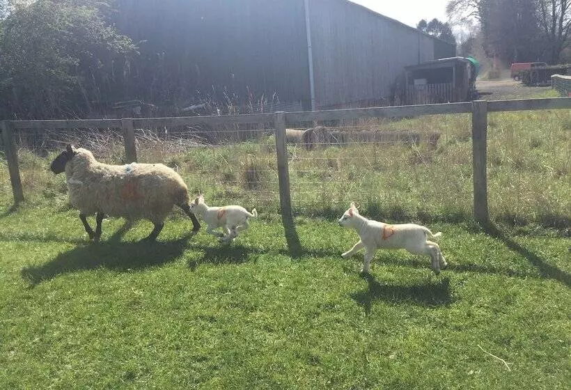 ホテル Islay @ Westcote Glamping Campsite