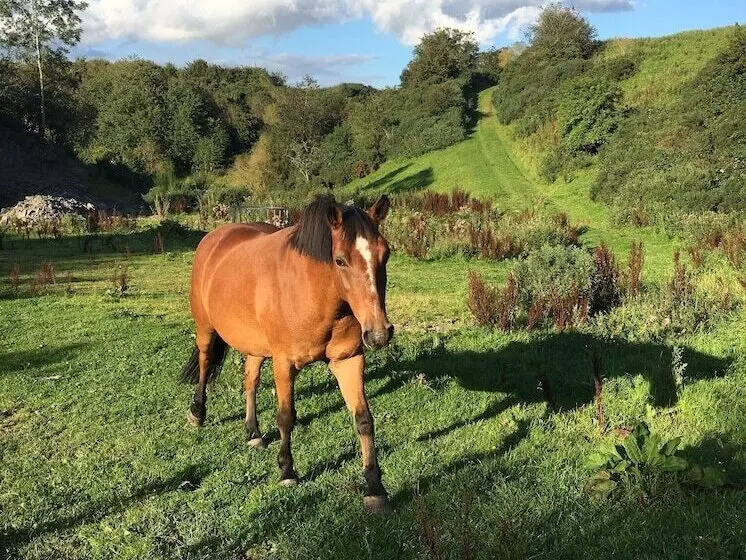 ホテル Islay @ Westcote Glamping Campsite