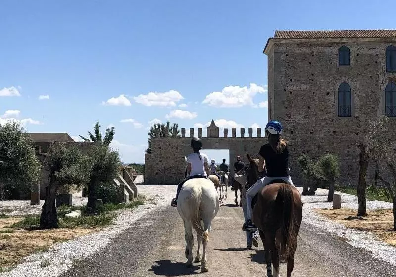 Oliveirinha Country House