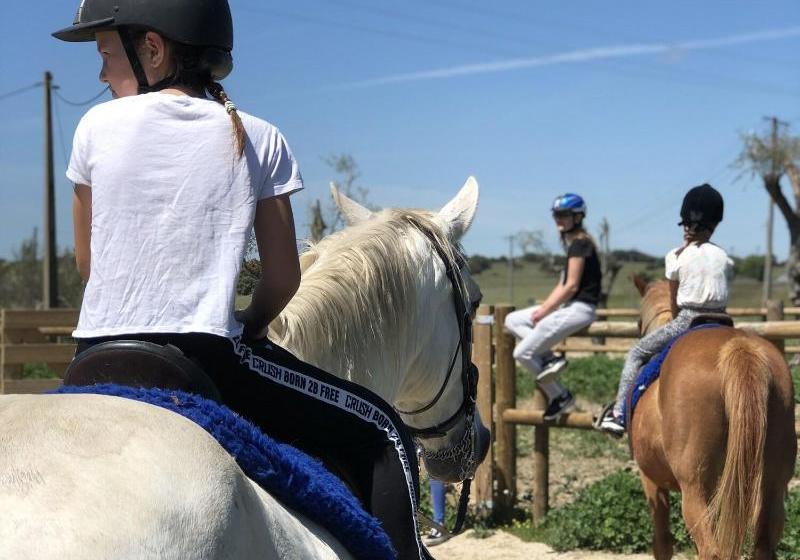 Oliveirinha Country House