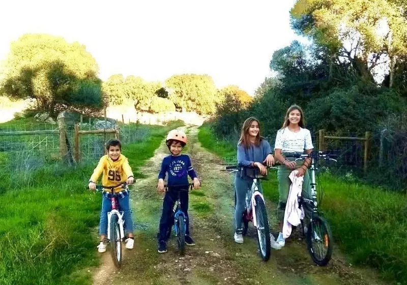 Oliveirinha Country House