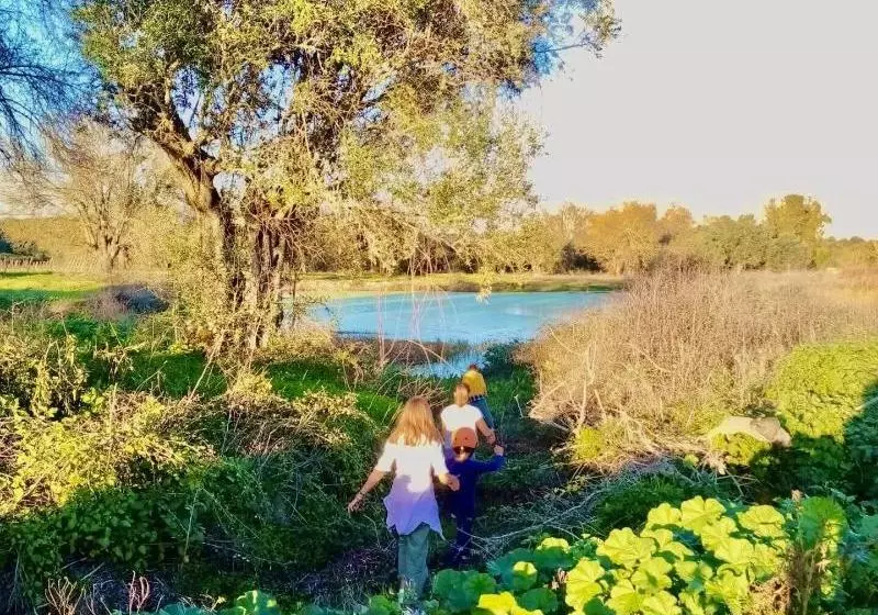 Oliveirinha Country House