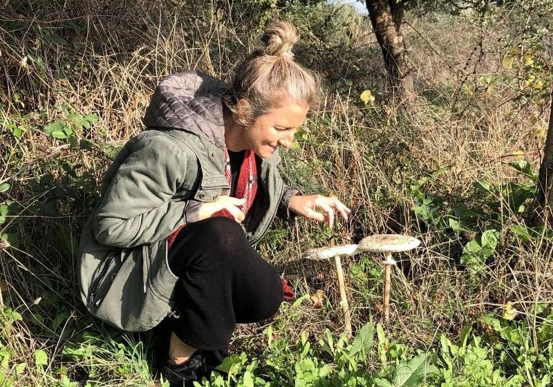 Oliveirinha Country House