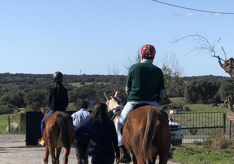 Oliveirinha Country House