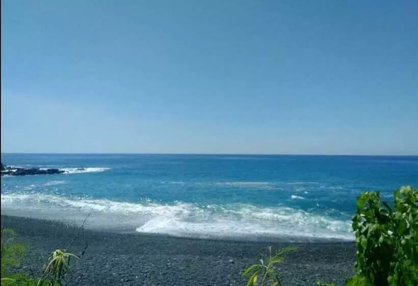 Aamiaismajoitus (B&B) Plumeria Grove Cottage