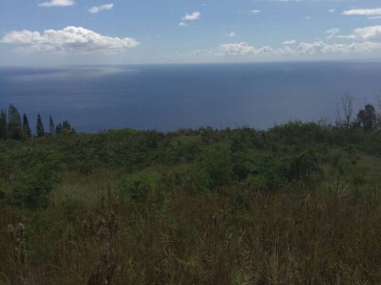 Bed and Breakfast Plumeria Grove Cottage