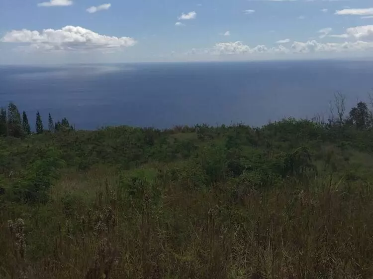 Aamiaismajoitus (B&B) Plumeria Grove Cottage