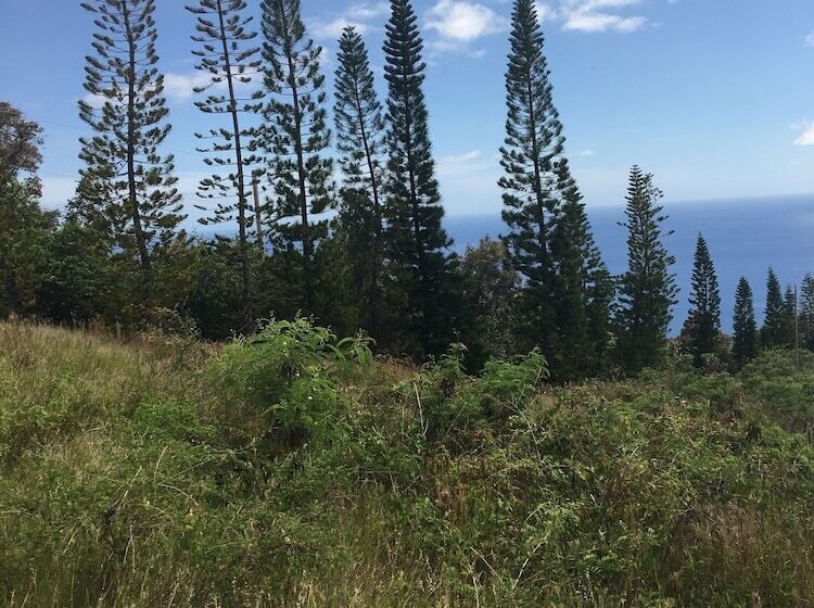 Bed and Breakfast Plumeria Grove Cottage