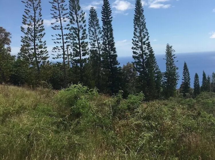 Aamiaismajoitus (B&B) Plumeria Grove Cottage