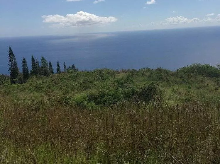 Aamiaismajoitus (B&B) Plumeria Grove Cottage