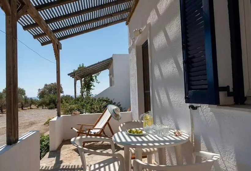 Margarita Apartments