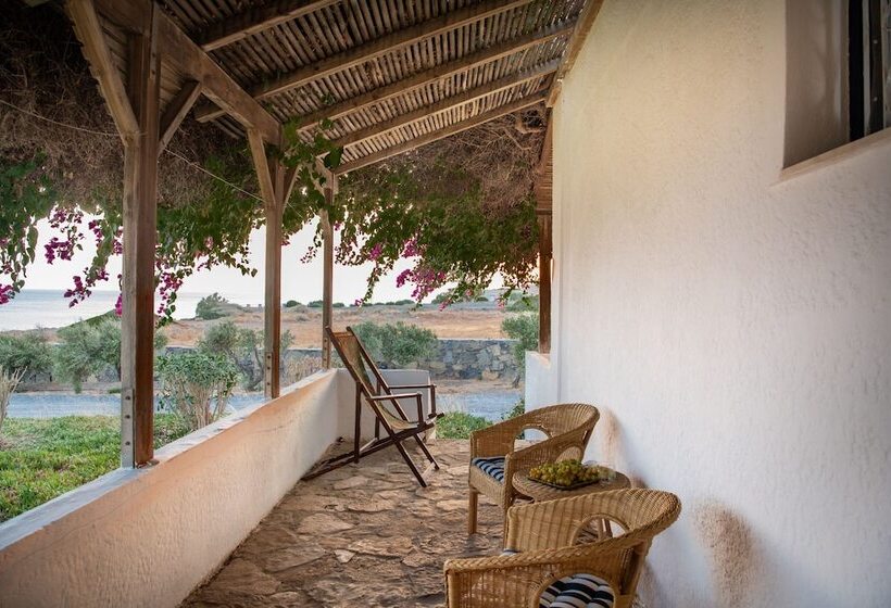 Margarita Apartments